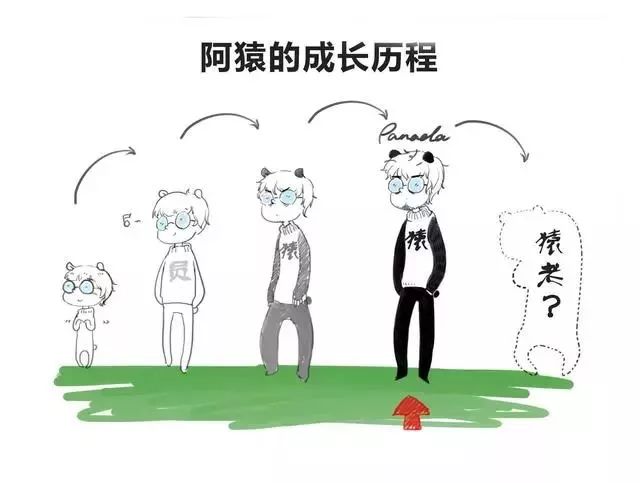  23歲學(xué)編程太遲？都這把年紀(jì)了，別瞎折騰了 